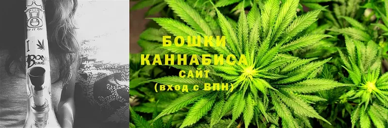 Шишки марихуана Ganja  Великий Устюг 